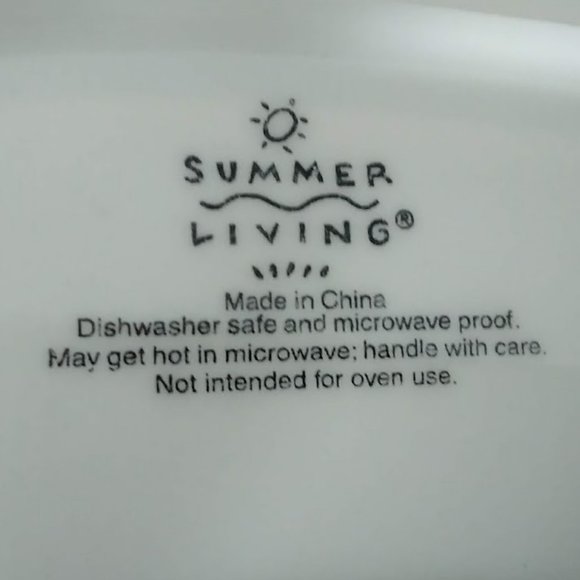 Summer Living 18 inch Fish Dish- NEVER USED - Picture 4 of 6